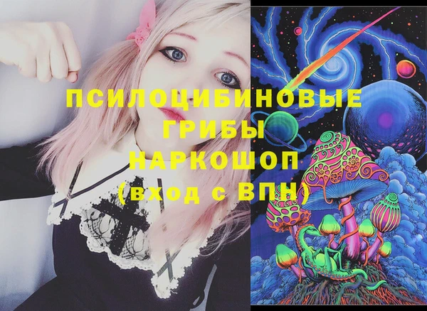 mix Белокуриха